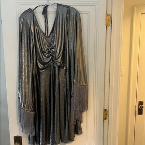 Metallic Silver Midi Dress with Fringe Sleeves